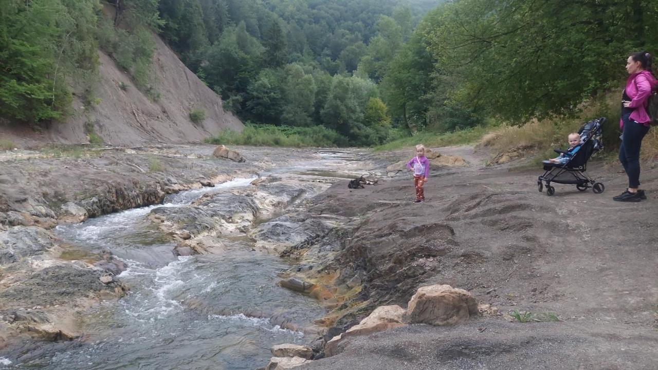 Садиба Федорчуків Гірська Хатина 1 Sheshory Exteriör bild